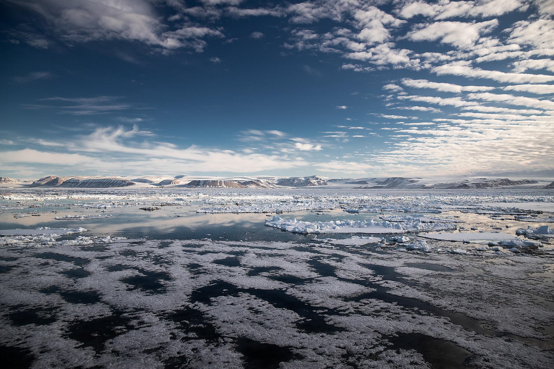 Au cœur des glaces de l'Arctique, du Svalbard au Groenland ©morgane_Monneret/StudioPONANT
