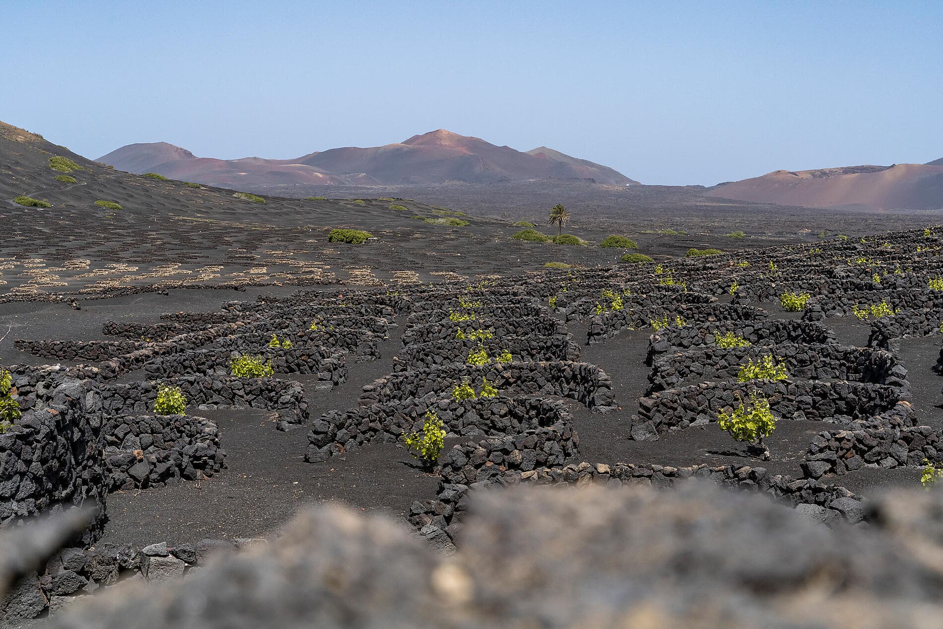 Entre volcans et océan, des Canaries au Cap-Vert   