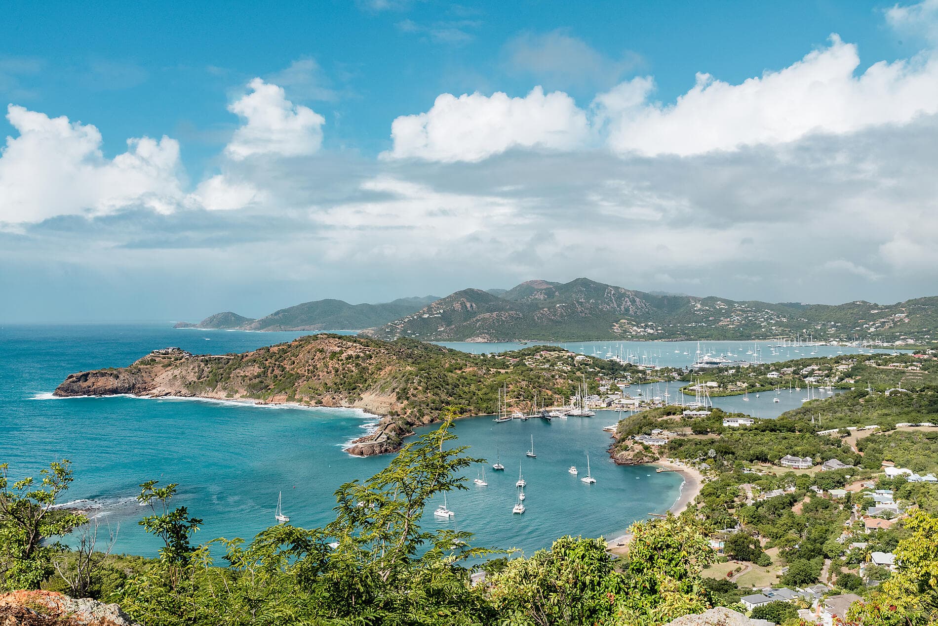 Merveilles des Caraïbes 