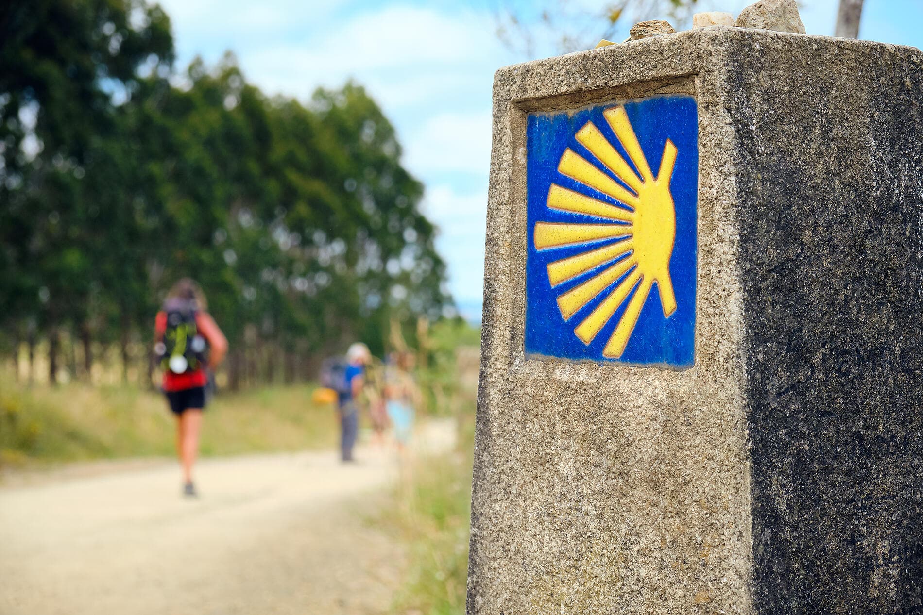 L'été au vert, de la mer du Nord à la péninsule ibérique  