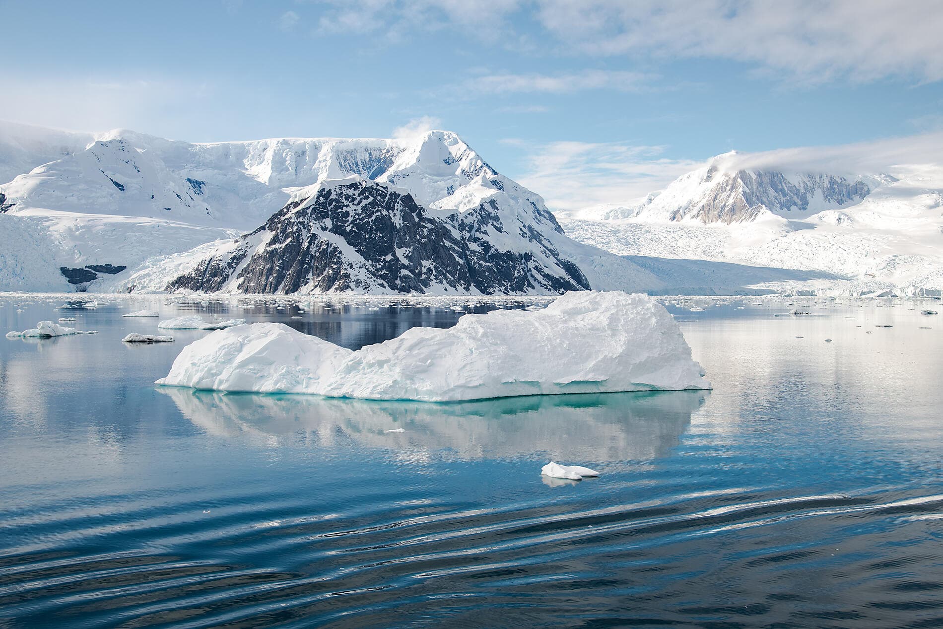 L'Antarctique emblématique  