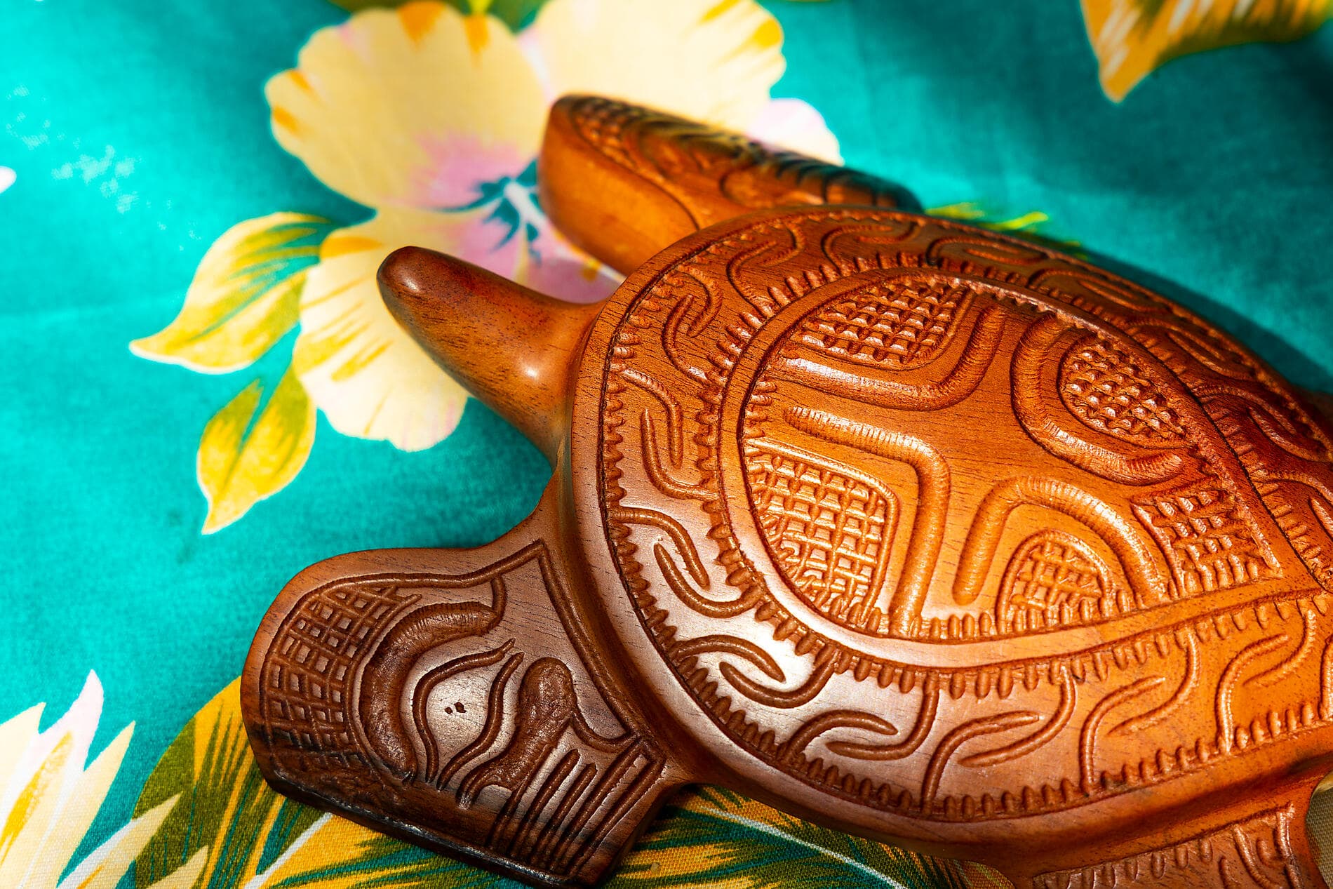 Douceur polynésienne : Marquises, Tuamotu et îles de la Société 