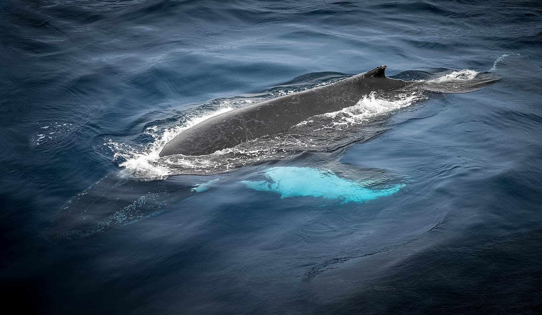 Mosaïque islandaise 