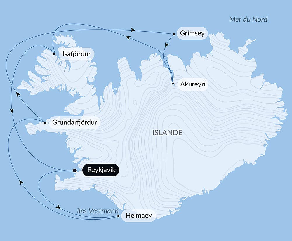 Mosaïque islandaise null